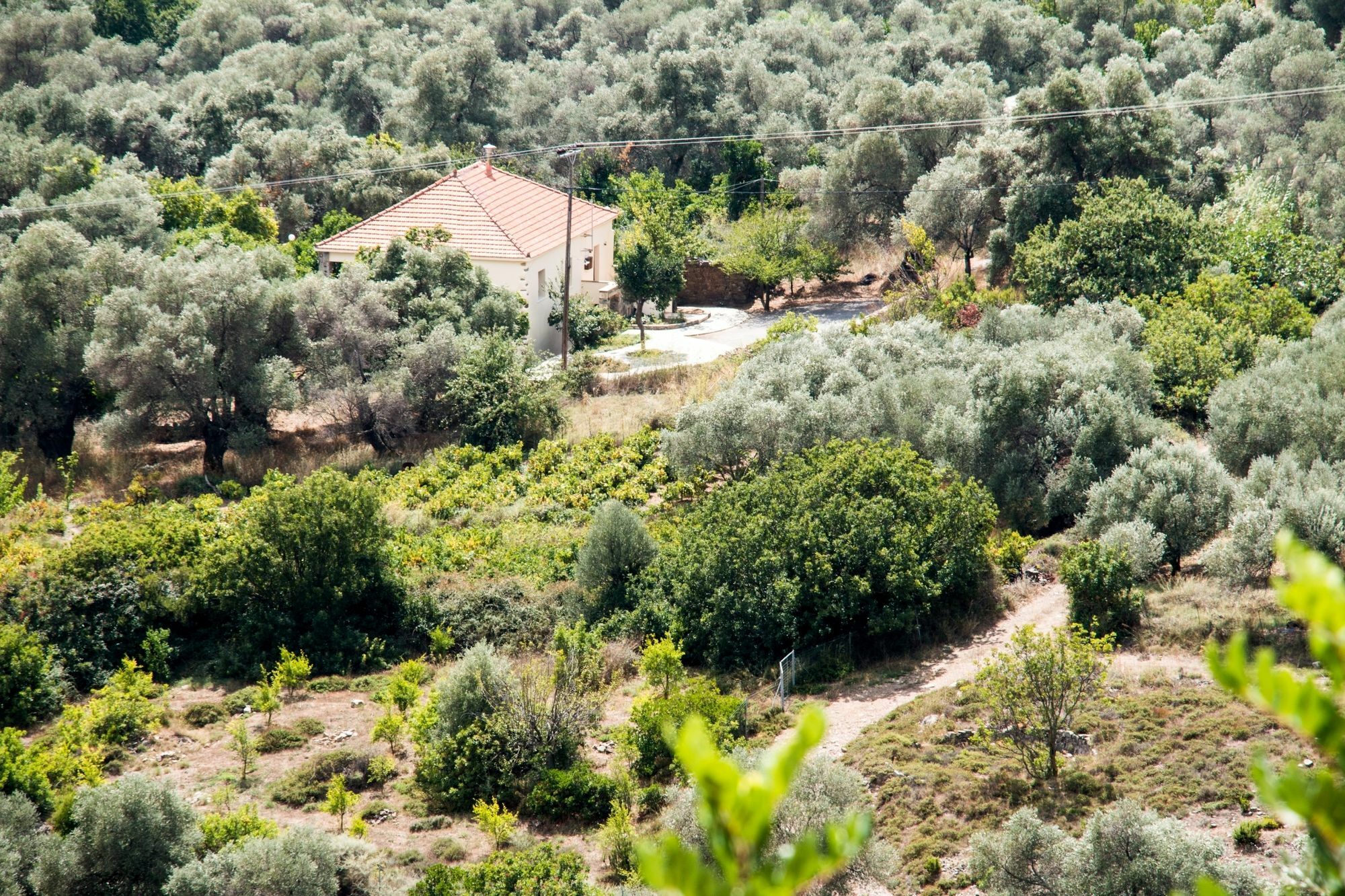 Villa Vlatos Bagian luar foto